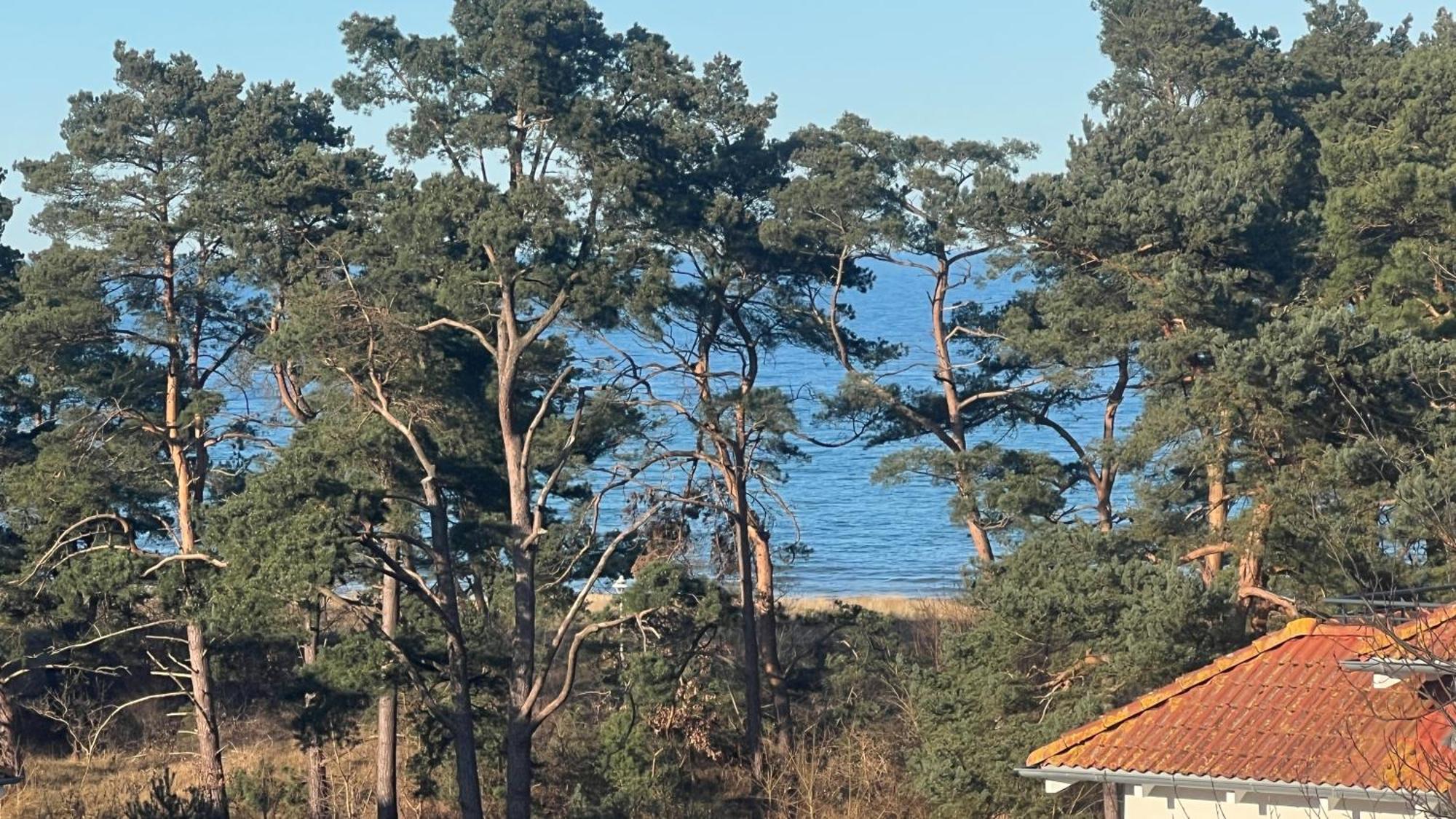 Appartement Meeresrauschen Baabe Exteriör bild